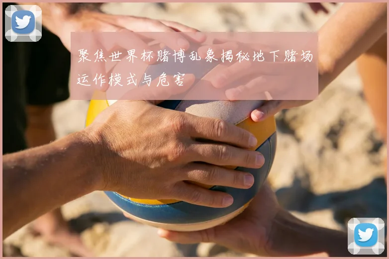 聚焦世界杯赌博乱象揭秘地下赌场运作模式与危害
