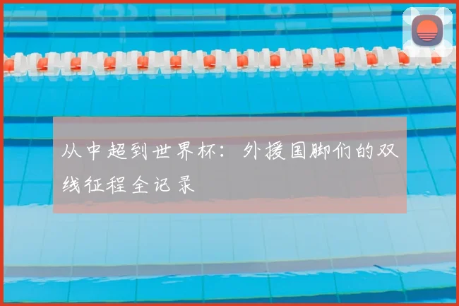 从中超到世界杯：外援国脚们的双线征程全记录