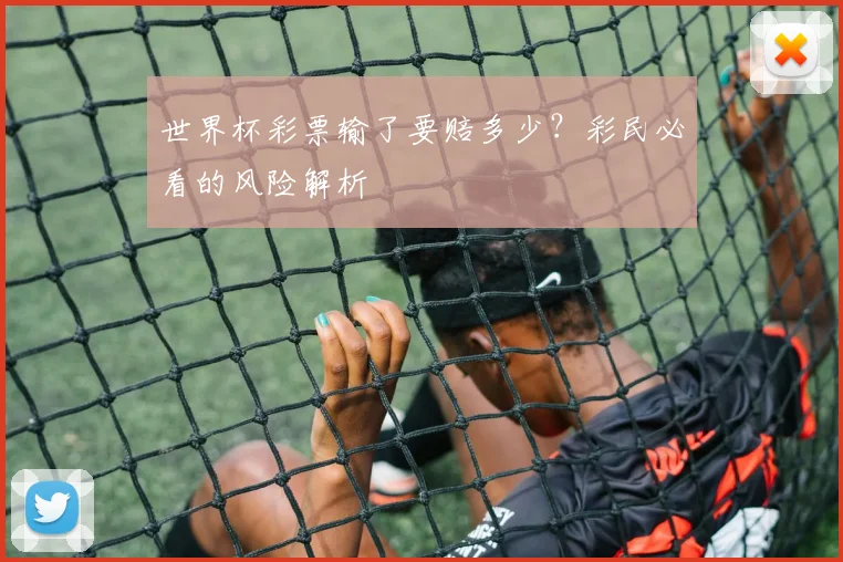 世界杯彩票输了要赔多少？彩民必看的风险解析