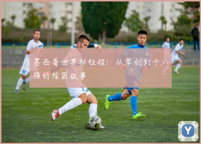 墨西哥世界杯征程：从草创到十六强的绿茵故事