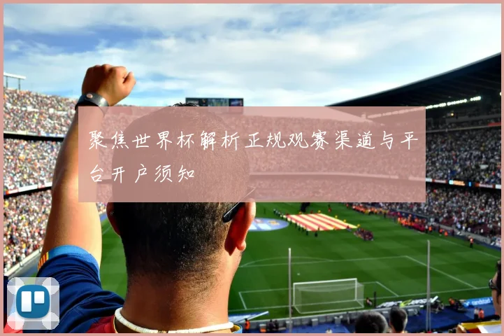 聚焦世界杯解析正规观赛渠道与平台开户须知