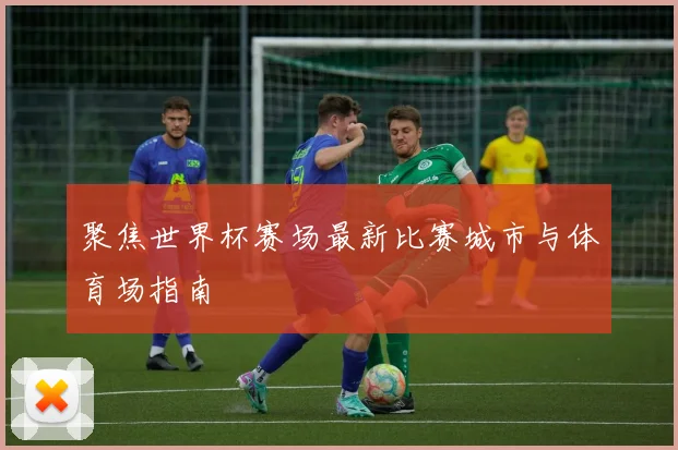 聚焦世界杯赛场最新比赛城市与体育场指南