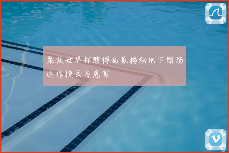 聚焦世界杯赌博乱象揭秘地下赌场运作模式与危害