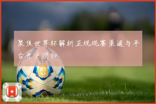 聚焦世界杯解析正规观赛渠道与平台开户须知