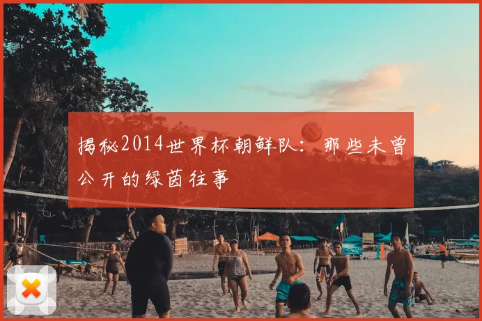 揭秘2014世界杯朝鲜队：那些未曾公开的绿茵往事