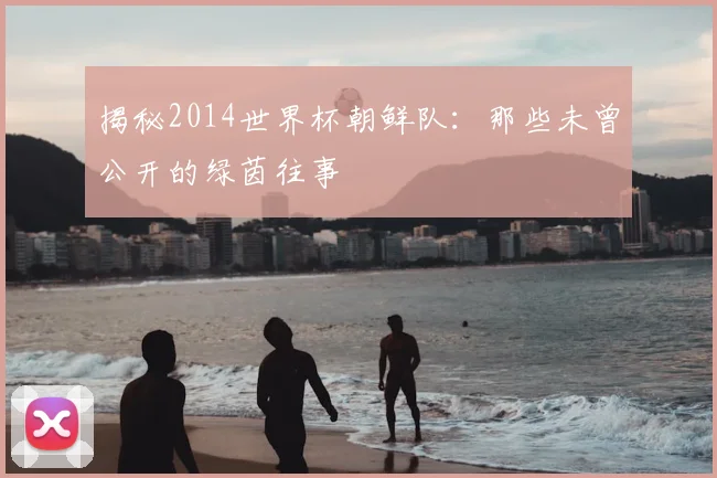揭秘2014世界杯朝鲜队：那些未曾公开的绿茵往事