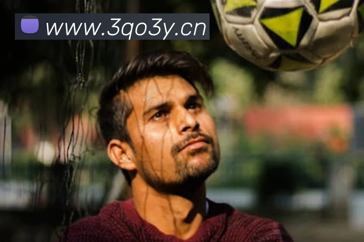 乐鱼体育app官网登录入口平台生态图